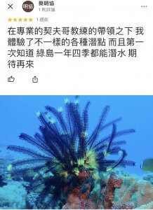 口碑好評推薦