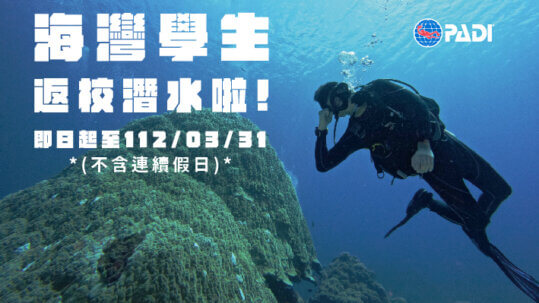 海灣學生返校潛水啦